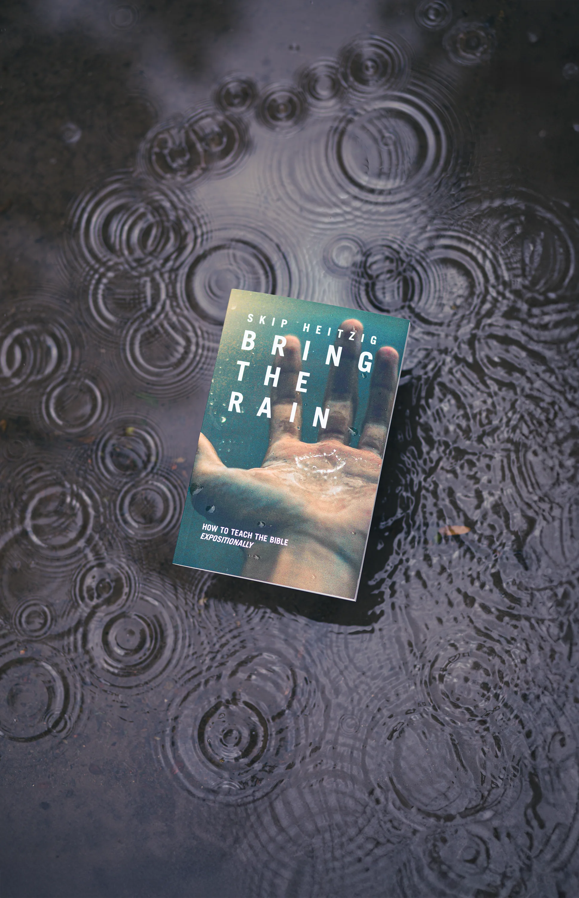 Bring the Rain book by Skip Heitzig